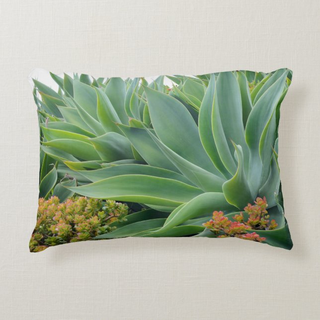 Almofada Decorativa Travesseiro do jardim da agave (Frente)