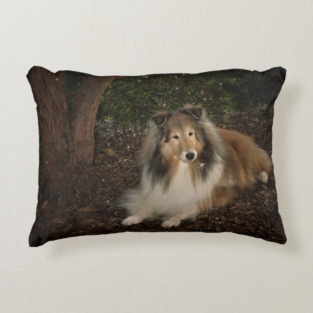 Almofada Decorativa Travesseiro mágico de Sheltie (Frente)