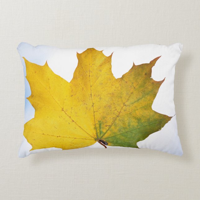 Almofada Decorativa Travesseiro para cada sala (Frente)