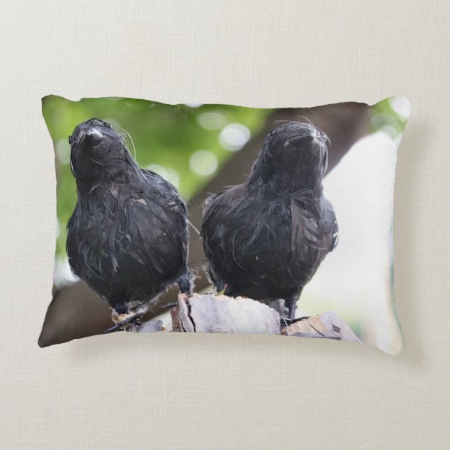 Almofada Decorativa Travesseiro Raven (Verso)