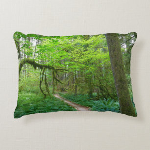Almofada Decorativa Trilha Ancient Groves no Parque Nacional Olímpico