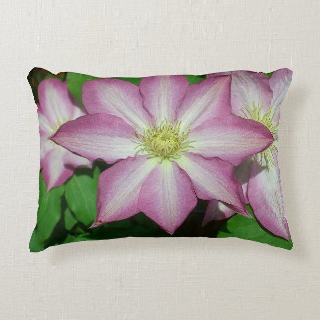 Almofada Decorativa Trio de Vinha-Primavera branca e rosa-clematis (Frente)