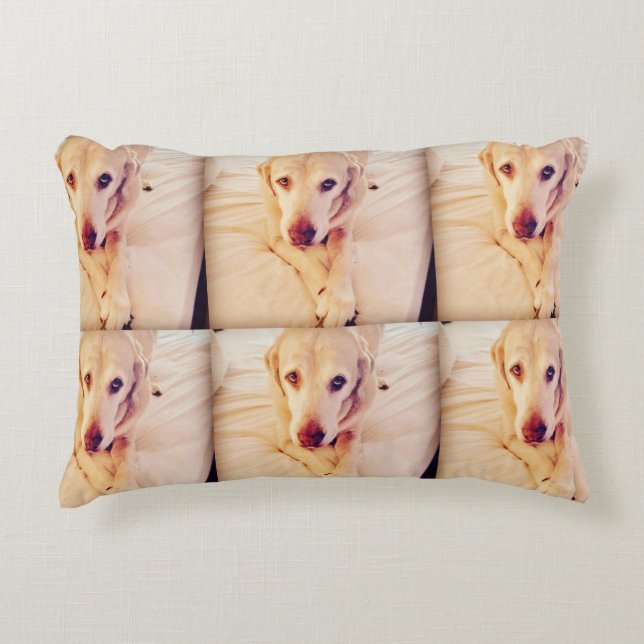 Almofada Decorativa Troy Baby Poly Travesseiro (Frente)