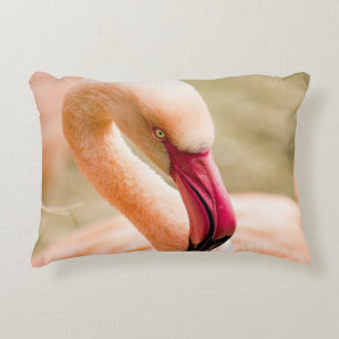 Almofada Decorativa Um Belo Flamingo Rosa