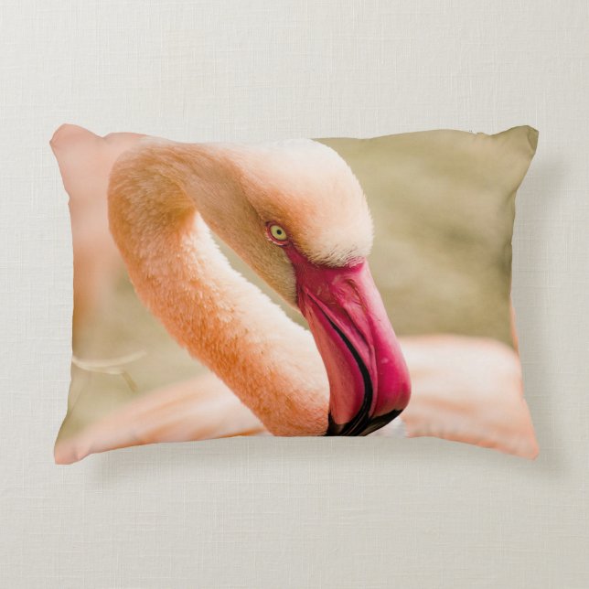 Almofada Decorativa Um Belo Flamingo Rosa (Frente)