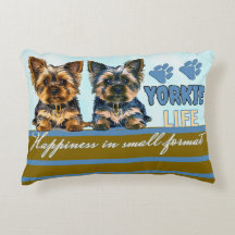 Yorkie fofo