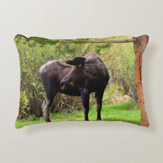 Almofada Decorativa Young Bull Moose