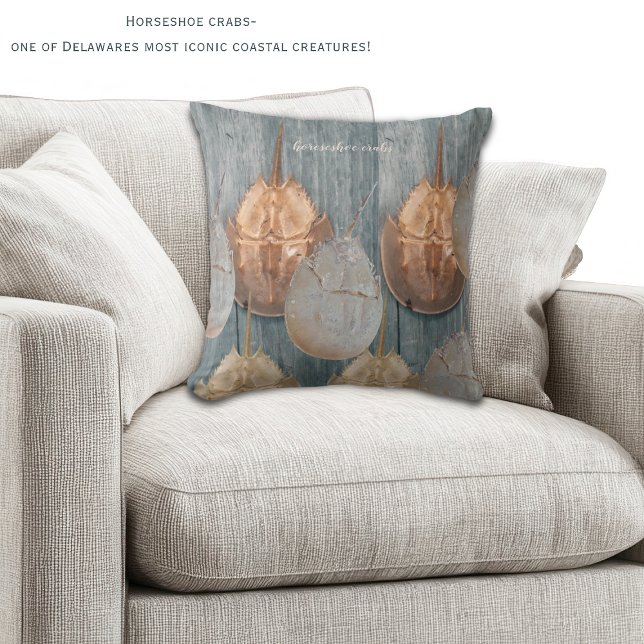 Almofada Delaware Horseshoe Crab Pillow – Coastal Decor (Horeshoe crabs are one of the most iconic coastal creatures in DE! Two sided decorative pillow!)