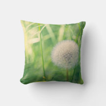 Dente-de-leão na vegetação com luz suave de verão