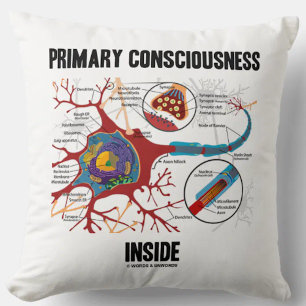 Almofada Dentro de Consciência Primária (Neuron/Synapse)