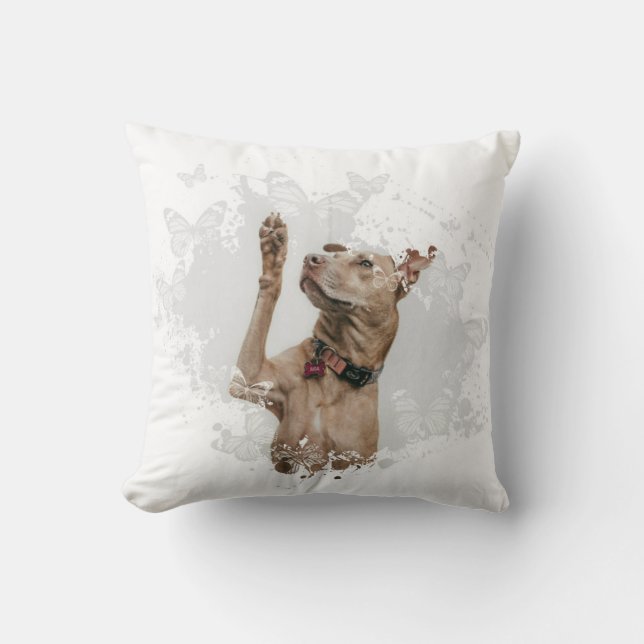 Almofada Design de Cachorro Cento (Frente)