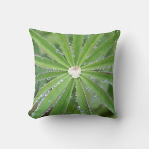 Almofada Dewdrop