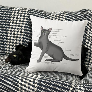 Almofada Diagrama de Anatomia de Gato Engraçado Humor Nerd