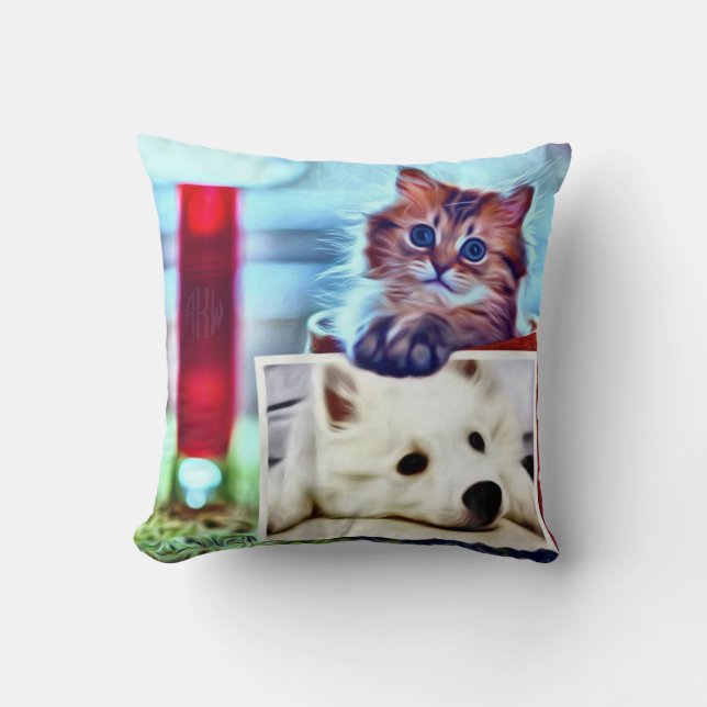 Almofada Diferenças Separadas (Frente)