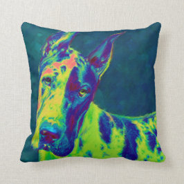 Almofada dinamarquês do arco-íris