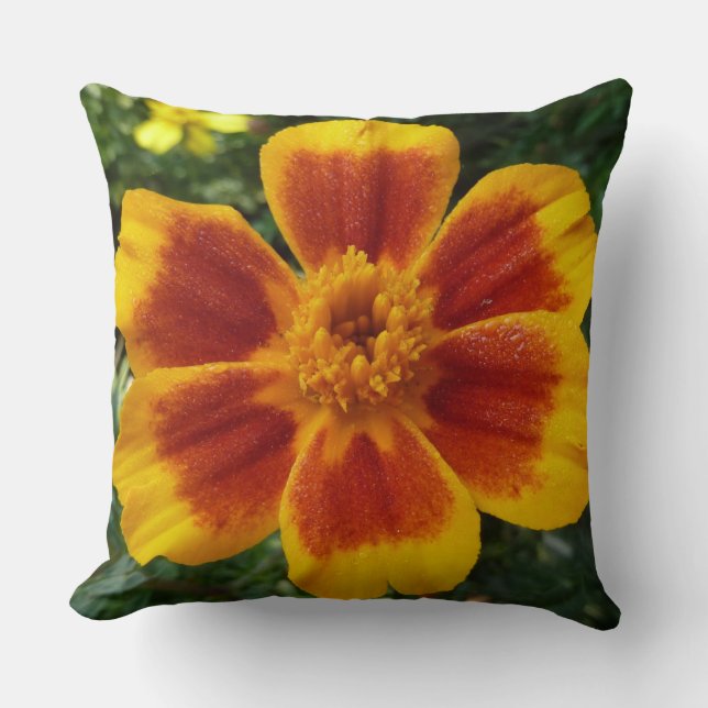 Almofada Disco Marigold Orange and Red Summer Flower (Frente)