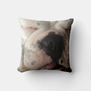 Almofada Diversão do Buldogue Lotado