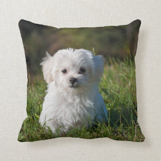 Almofada DIY - Impressão num TRAVESSEIRO - Adicionar imagem