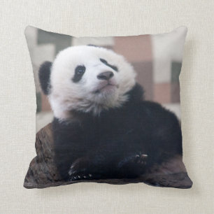 Almofada Doce Giant Panda Baby