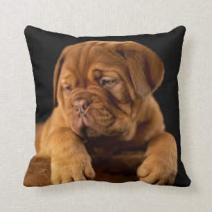 Almofada Dogue de Bordeaux - Cão-Puppy francês Mastiff