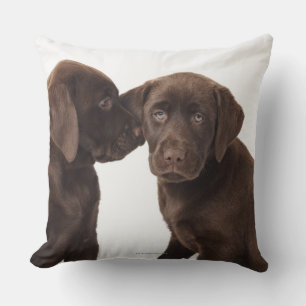Almofada Dois filhotes de cachorro de labrador retriever do