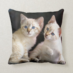 Almofada Dois gatinhos Bobtail do ponto do gato malhado de