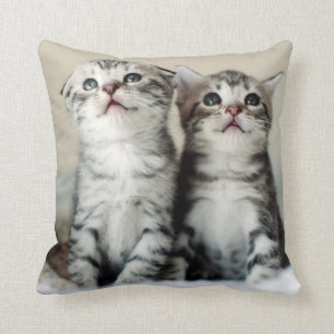 Almofada Dois gatinhos bonitos