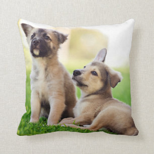Almofada Dois German shepherd