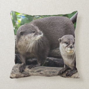 Almofada Dois lontra bonito das lontras