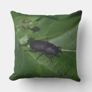 Almofada Dorcus parallelipipedus , o escaravelho inferior