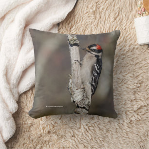 Almofada Downy Woodpecker Bird em Branch