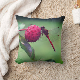 Almofada Dragonfly Vermelha Na Fruta Dogwood Fechar