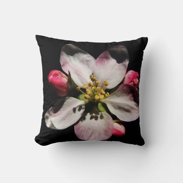 Almofada DS Sunflower ou Apple Blossom Art arc3 (Frente)