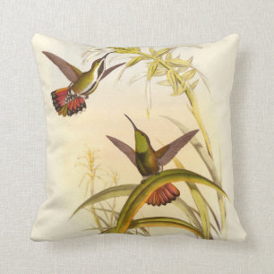 Almofada Duas Aves Hummingbird Coloridas Projetando para a 