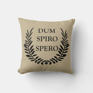Almofada dum espiro spero, frase latina