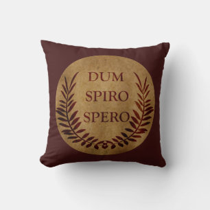 Almofada dum espiro spero, frase latina