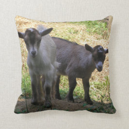 Almofada Duplo Problema!