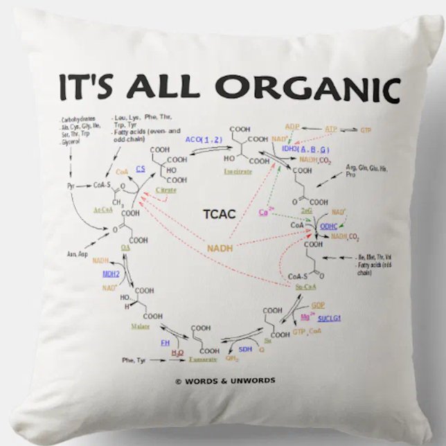 Almofada É Todo Ciclo Cítrico Cítrico Cítrico de Krebs Orgâ (O-Chem attitude throw pillow with the Krebs cycle (ctiric acid cycle, tricarboxlylic acid cycle))