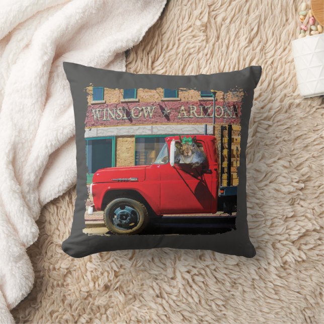 Almofada É um esquilo, meu senhor (Cobertor)