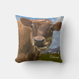 Almofada É uma coisa do país