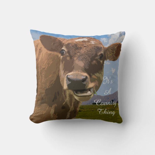 Almofada É uma coisa do país (Frente)