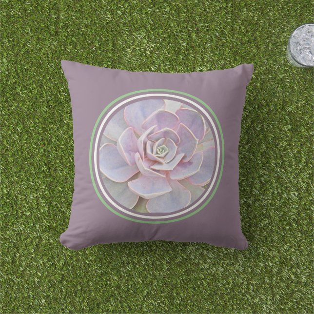 Almofada Echeveria "rosa" Suculente/ cinza-rosada-verde- (Grama)