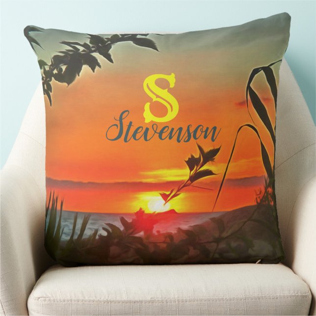 Almofada El Rio Pitillal 2009 (Criador carregado)