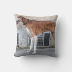 Almofada Elder Brindle Greyhound