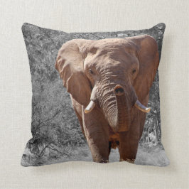 Almofada Elefante africano