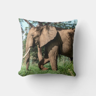 Almofada Elefante Africano no Safari
