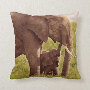 Almofada Elefante & bebê das imagens de Getty