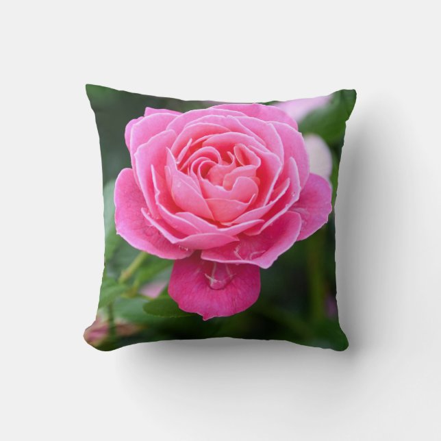 Almofada Elegant Floral Pink Rose Garden Accent Pillow (Frente)