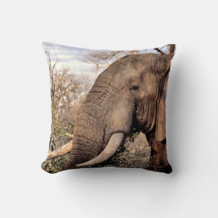 Almofada Elephant Lovers Art