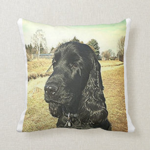Almofada English_Cocker_Spaniel.png preto